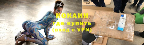 PSILOCYBIN Строитель