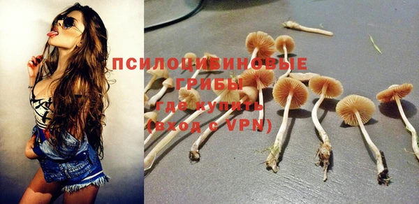 apvp Ступино