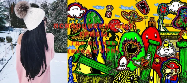 PSILOCYBIN Строитель