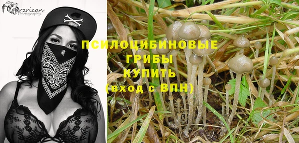 PSILOCYBIN Строитель