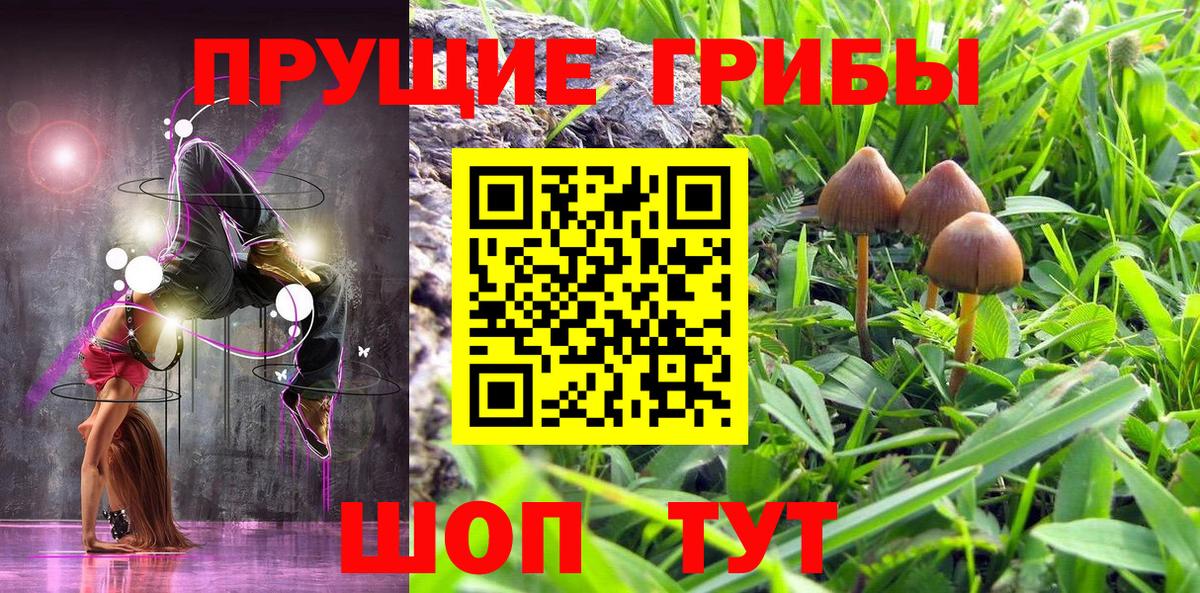 Раменское  Галлюциногенные грибы GOLDEN TEACHER  Псилоцибиновые грибы ЛСД  Вход с VPN 