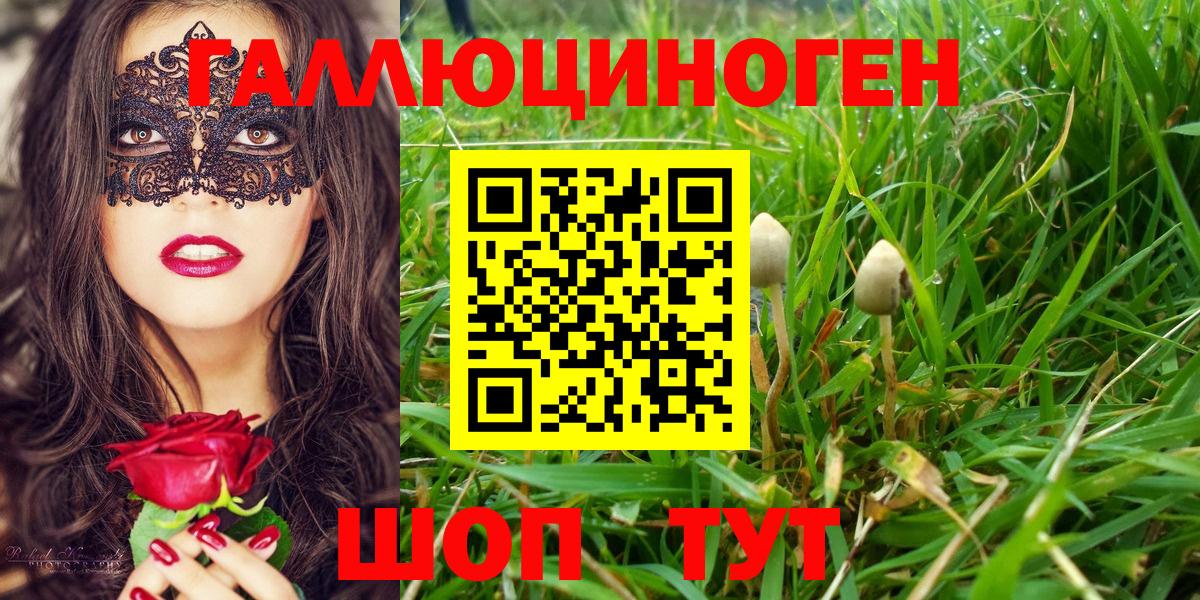 Псилоцибиновые грибы Magic Shrooms Раменское