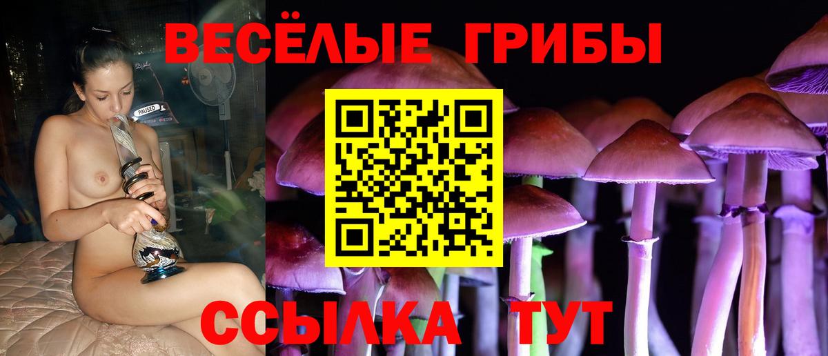 Псилоцибиновые грибы прущие грибы Раменское