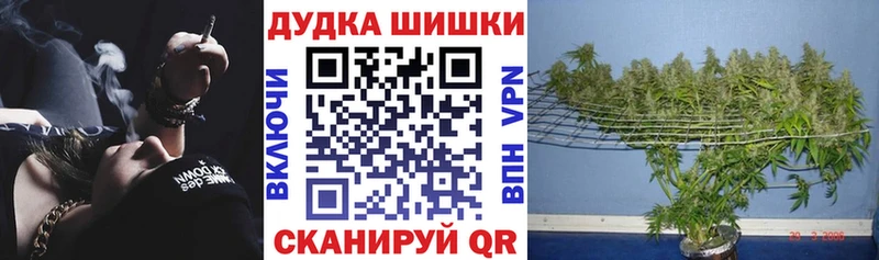 Бошки марихуана MAZAR купить Раменское